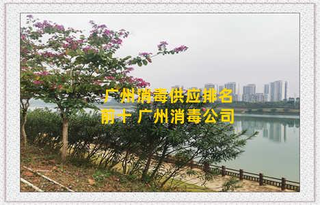 广州消毒供应排名前十 广州消毒公司